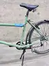 Cargo Bike: Civia Halsted (404-65)
