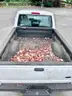 Pickup Truck: 2005 Ford Ranger, 19K Mi. (406-61, Veh 629)