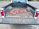 Pickup Truck: 2005 Ford Ranger, 19K Mi. (406-61, Veh 629)