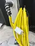 Lot of Misc. Janitorial Equipment (406-69)