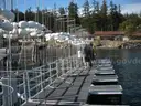 Custom Built (4) Piece Floating Dock (408-27)