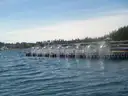 Custom Built (4) Piece Floating Dock (408-27)