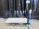 Platform Scale: VSSI (408-83)