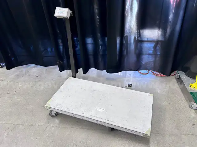 Platform Scale: VSSI (408-83)