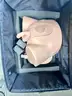 Lot of Medical Training Equipment/Sims (410-11)