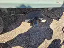 Generator Trailer