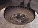 2017 Bellatori Train