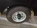 2017 Bellatori Train