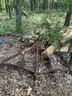2001 Bush Hog