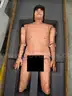 Apollo Manikin