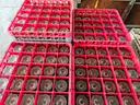 Lot of Cups/Bowls/Plates (approx. 4 pallets)