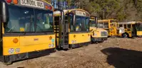 Lot of Junk/Scrap School Buses (12 Total)