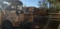 Lot of Junk/Scrap School Buses (12 Total)