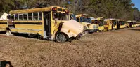 Lot of Junk/Scrap School Buses (12 Total)