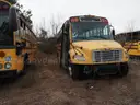 Lot of Junk/Scrap School Buses (56 Total)