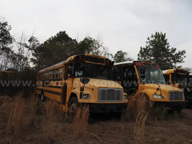 Lot of Junk/Scrap School Buses (56 Total)