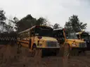 Lot of Junk/Scrap School Buses (56 Total)