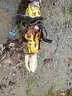 Yellow Dumpster Trailer