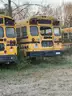 Lot of Junk/Scrap School Buses (77 Total)