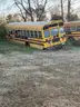 Lot of Junk/Scrap School Buses (77 Total)