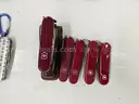 Lot of Large Swiss Army Knives (Approx 143)