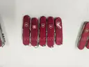 Lot of Large Swiss Army Knives (Approx 105)