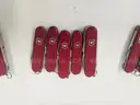 Lot of Large Swiss Army Knives (Approx 105)
