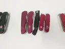 Lot of Large Swiss Army Knives (Approx 105)