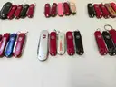Lot of Small Swiss Knives (Approx 242)