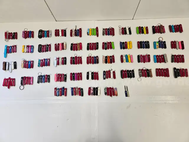 Lot of Small Swiss Knives (Approx 242)
