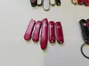 Lot of Small Swiss Knives (Approx 242)