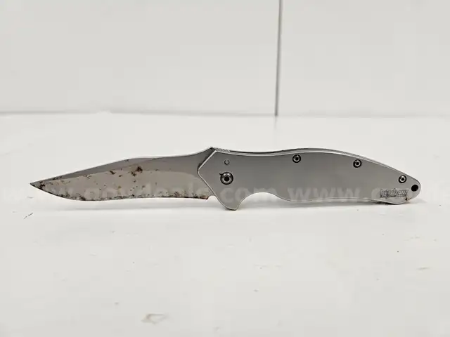 Kershaw Ken Onion Shallot 1840