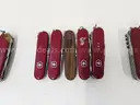 Lot of Large Swiss Knives (Approx 106)