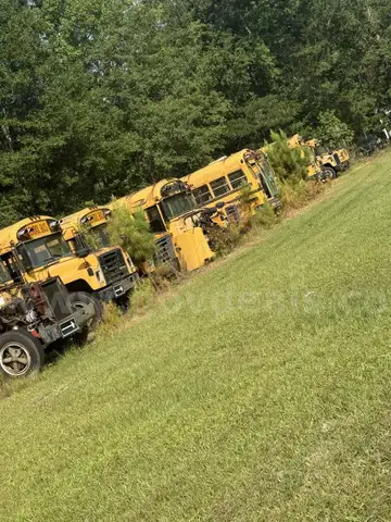 Lot of Junk/Scrap School Buses (107 Total)