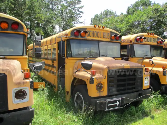 Lot of Junk/Scrap School Buses (67 Total)