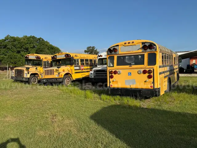 Lot of Junk/Scrap School Buses (33 Total)