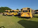 Lot of Junk/Scrap School Buses (33 Total)