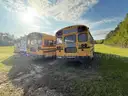 Lot of Junk/Scrap School Buses (33 Total)