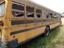 Lot of Junk/Scrap School Buses (48 Total)