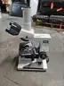 Nikon Microscope