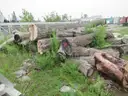 Lumber