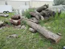 Lumber