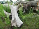 Lumber