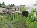 Lumber