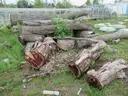 Lumber