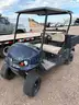 Cashman Hauler 1200x EFI Cart