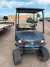 Cashman Hauler 1200x EFI Cart