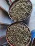 Rifle and Pistol casings