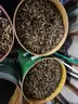 Rifle and Pistol casings