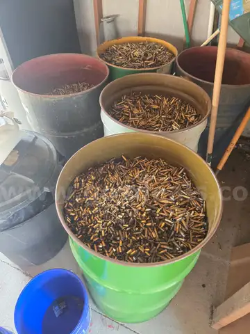 Rifle and Pistol casings